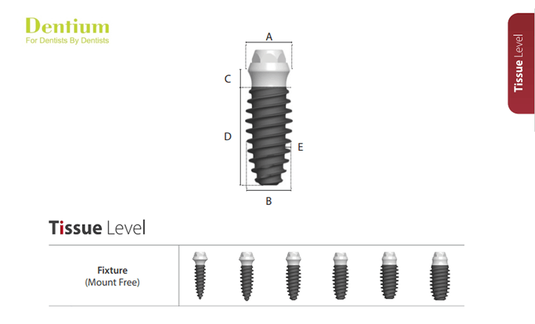 치조골 크기&형태에 맞는 맞춤 임플란트