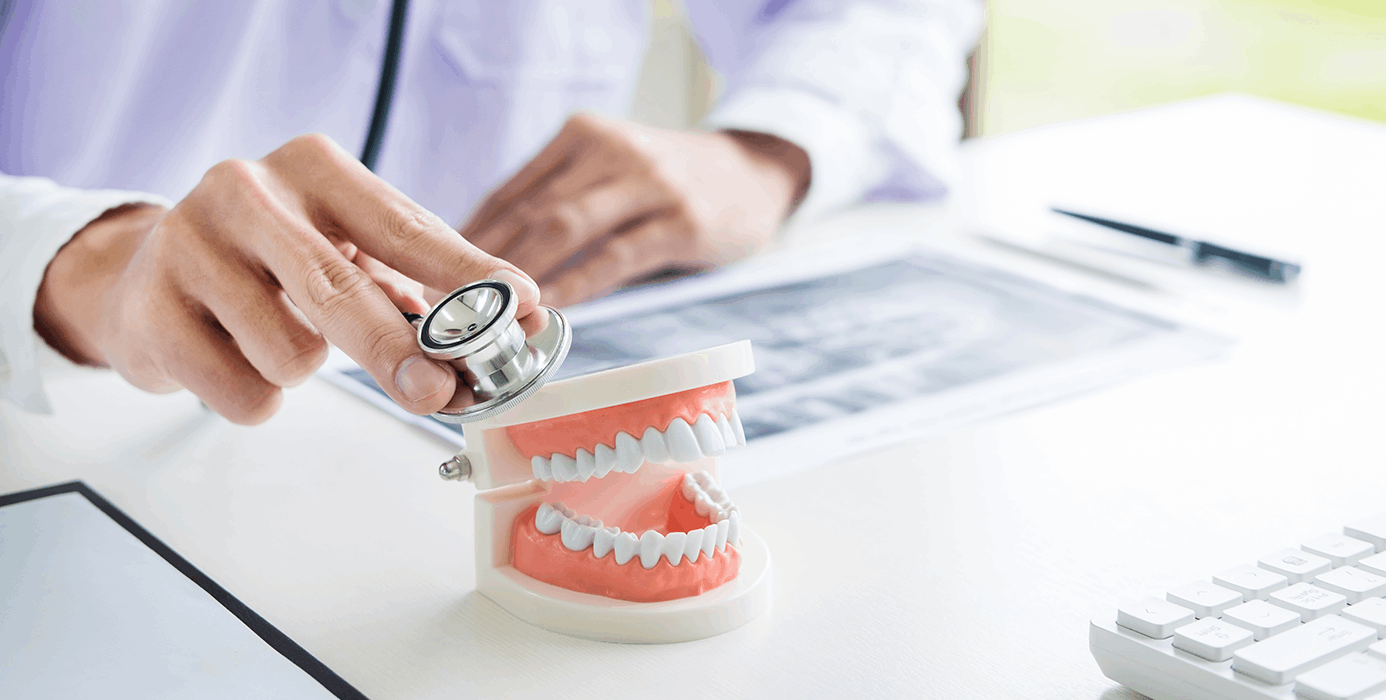 예방진료시스템