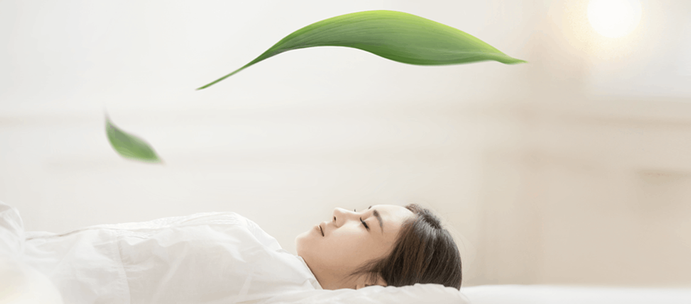 의식하진정요법